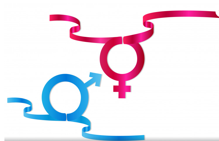 Sur un fond blanc, nous pouvons observer le symbole de l'homme en bleu en bas et de la femme en rose en haut. Les deux symboles sont illustrés par des rubans brillants